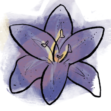 lily