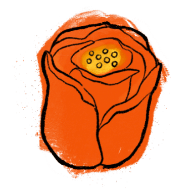 tulip