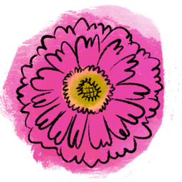 zinnia