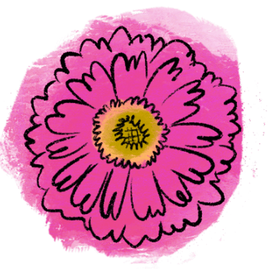 zinnia