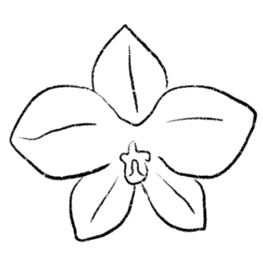 orchid