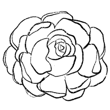 peony